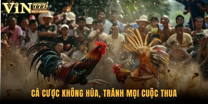 Cá cược không hùa, tránh mọi cuộc thua