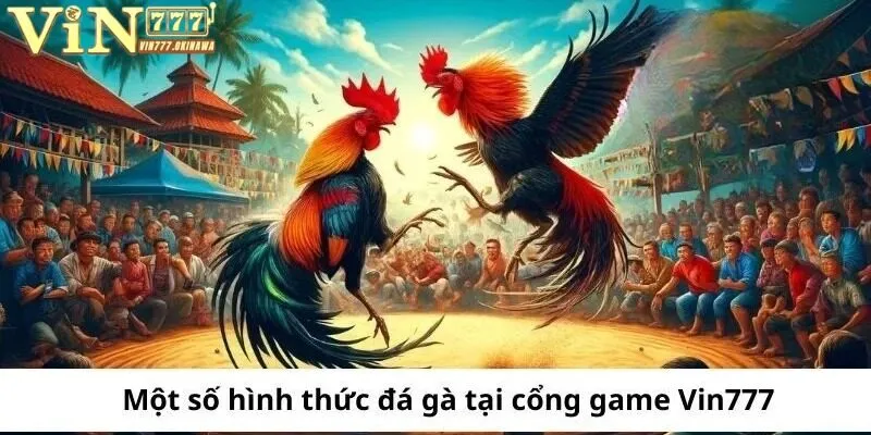 Tổng hợp các loại hình đá gà Vin777 được ưa chuộng