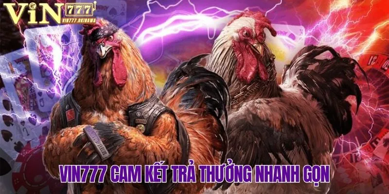 Đá gà Vin777 cam kết thanh toán nhanh chóng đến từng hội viên