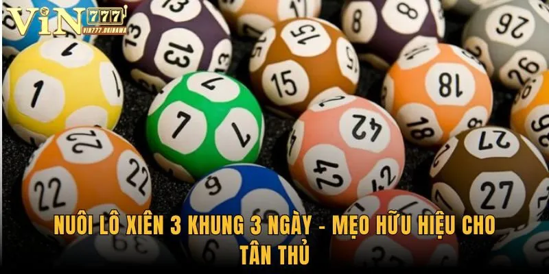 Nuôi lô xiên 3 khung 3 ngày - mẹo hữu hiệu cho tân thủ